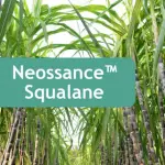 Neossance Squalane para Cosméticos: Benefícios e Aplicações